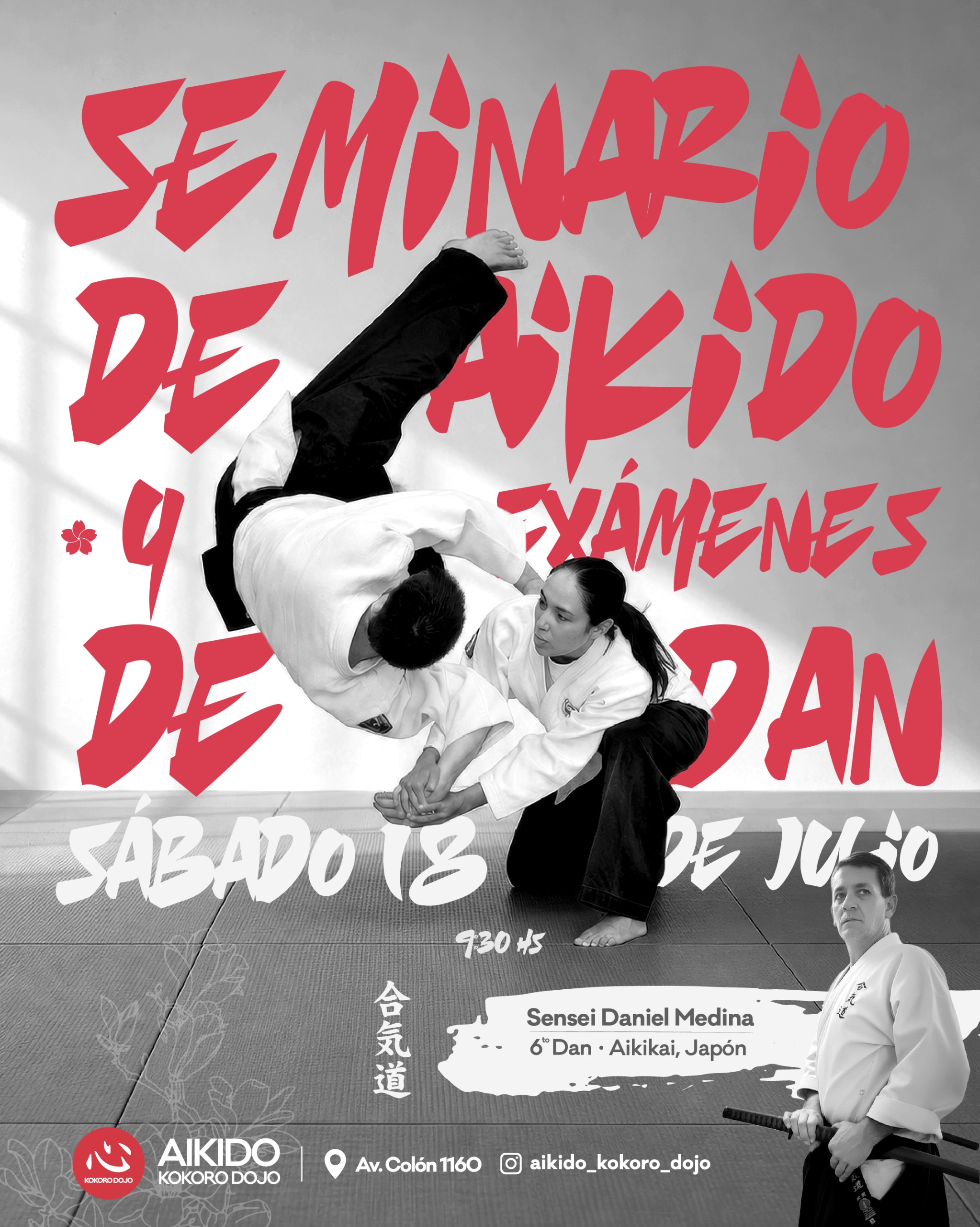 Seminario de Aikido y Exámenes de Dan