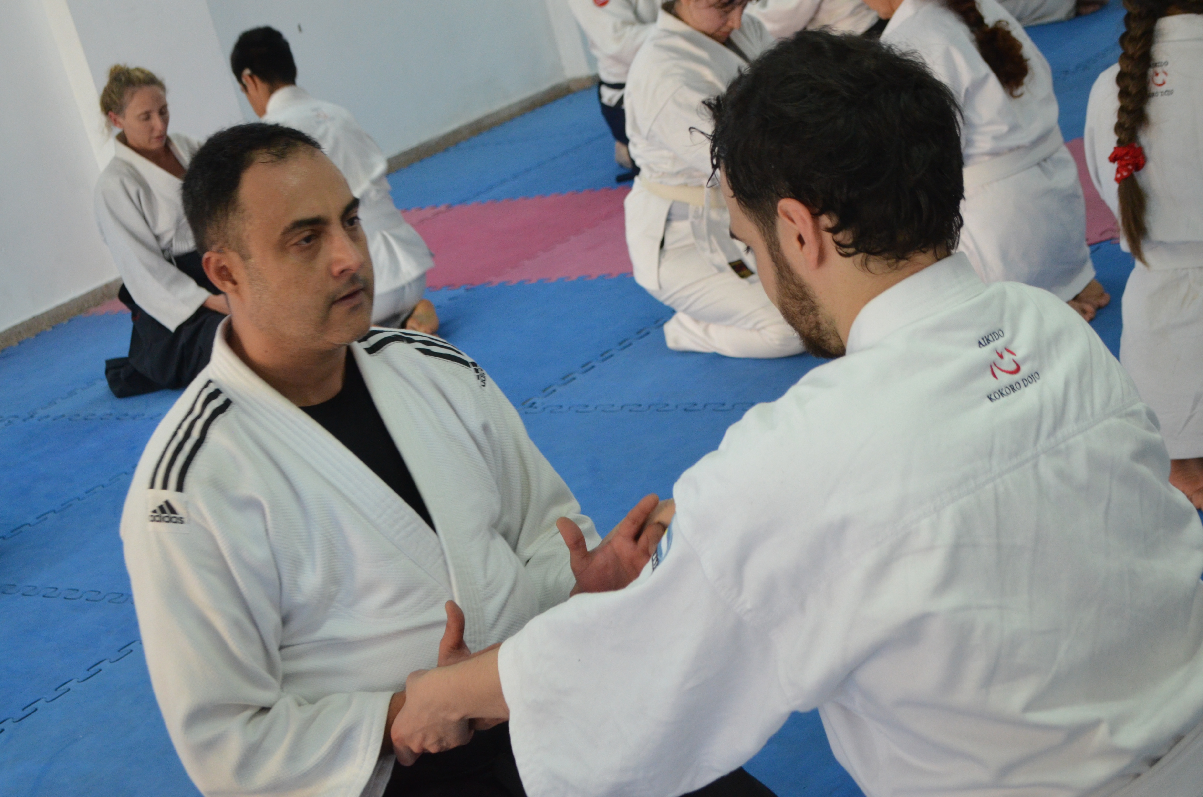Entrenamiento - suwari waza kokyu ho